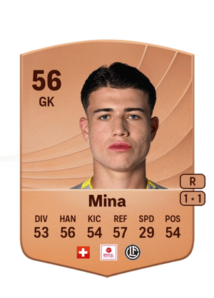 Diego Mina