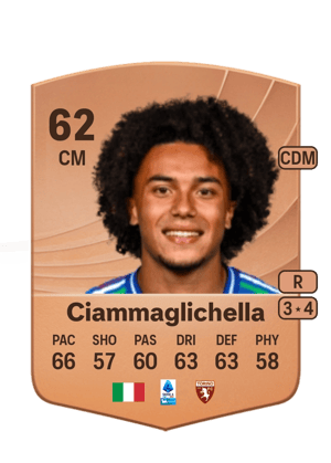 Aaron Ciammaglichella