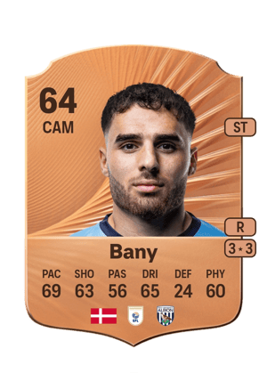 Tammer Bany