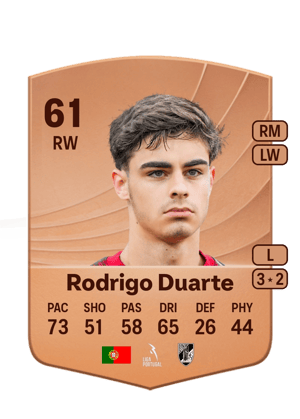 Rodrigo Duarte