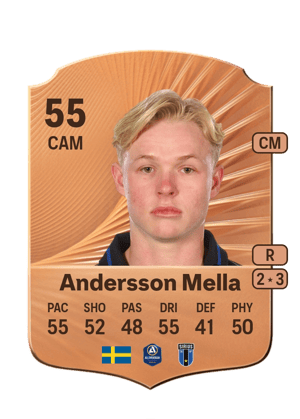 Hugo Andersson Mella