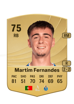 Martim Fernandes