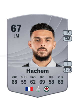 Ryad Hachem
