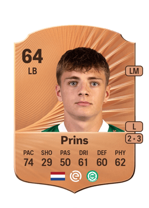 Wouter Prins
