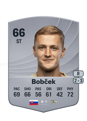 Tomáš Bobček