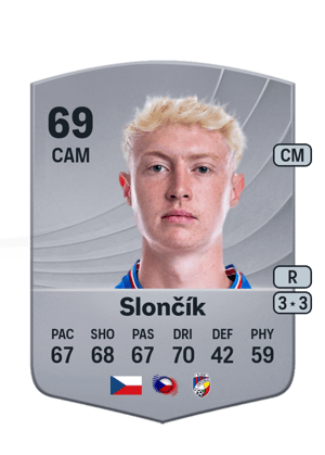 Tom Slončík