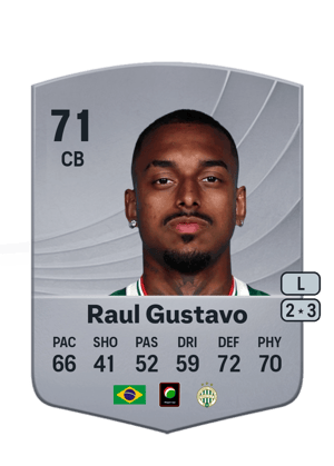 Raul Gustavo Pereira Bicalho