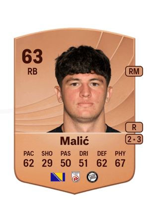 Arjan Malić