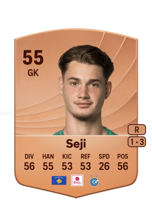 Laurent Seji