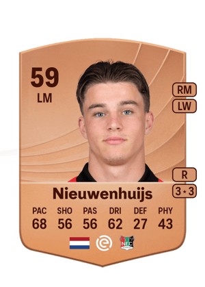 Luc Nieuwenhuijs