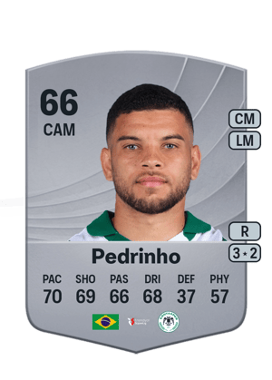 Pedrinho