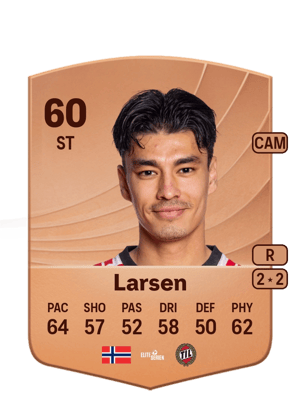 Heine Åsen Larsen