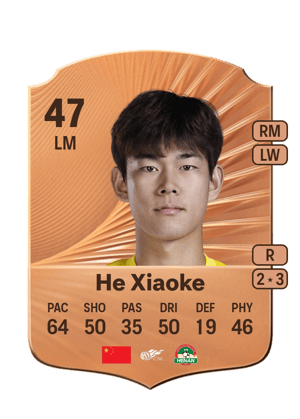 He Xiaoke