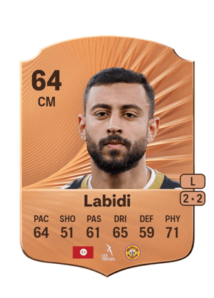 Chiheb Labidi