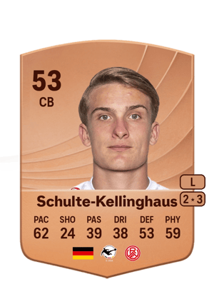 Nicolai Schulte-Kellinghaus