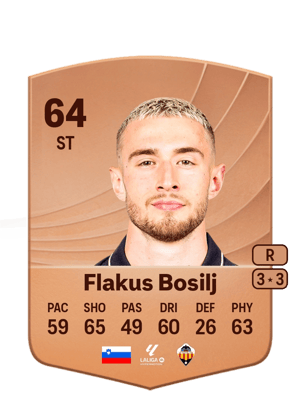 David Flakus Bosilj