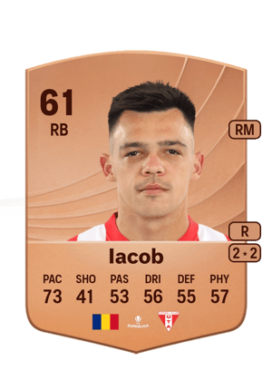 Flavius Iacob