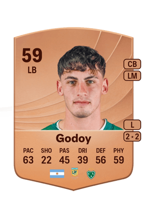 Joel Godoy