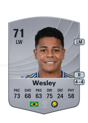 Wesley Gassova Ribeiro Teixeira