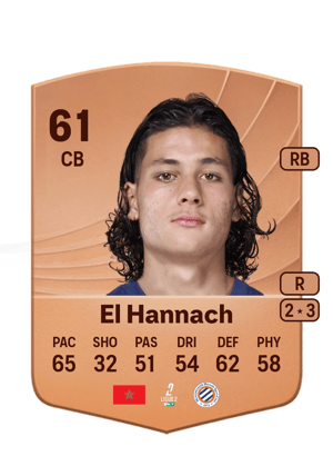 Naoufel El Hannach