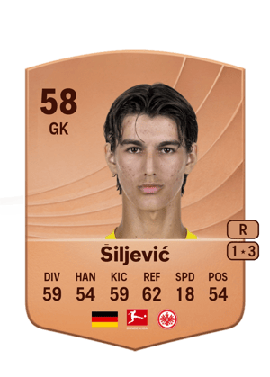 Amil Šiljević