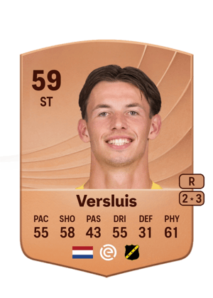 Dion Versluis