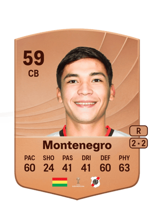 Leonardo Montenegro