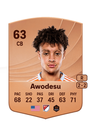 Femi Awodesu