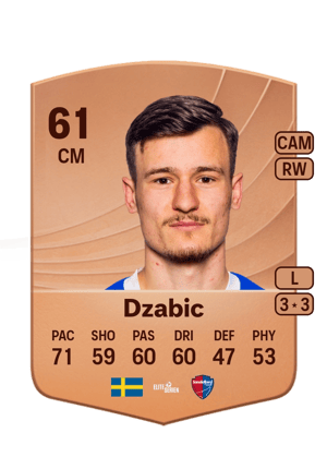 Robin Dzabic