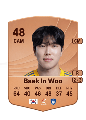 Baek In Woo