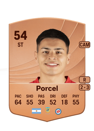 Diego Porcel