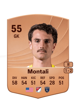 Francesco Montali