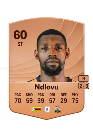 Lee Ndlovu