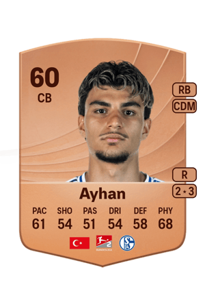 Mertcan Ayhan