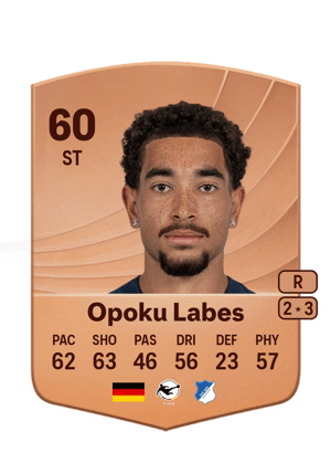Ben Opoku Labes