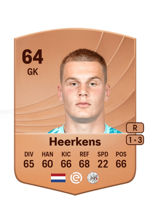 Joeri Heerkens