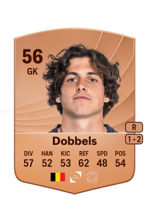 Arnaud Dobbels