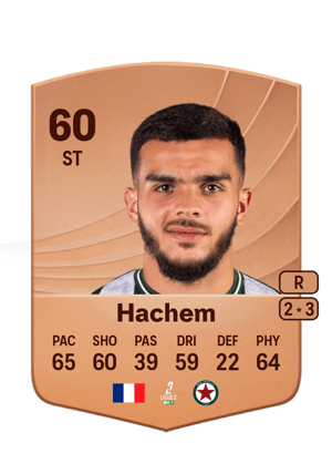 Abdelsamad Hachem