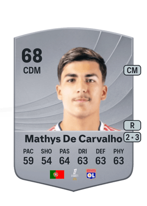 Mathys De Carvalho