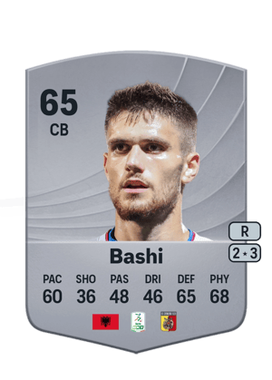 Ervin Bashi