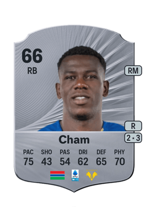 Fallou Cham