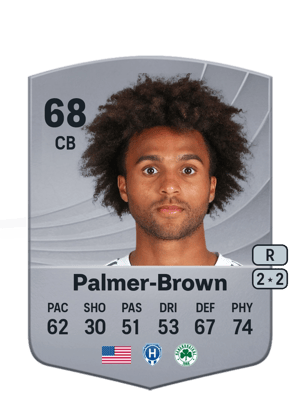 Erik Palmer-Brown