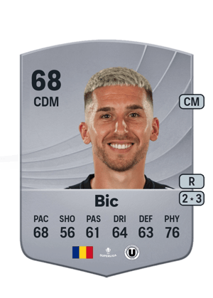 Ovidiu Bic