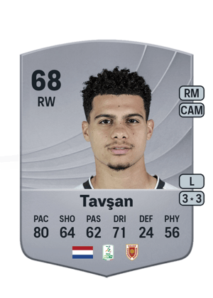 Elayis Tavşan