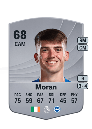 Andrew Moran
