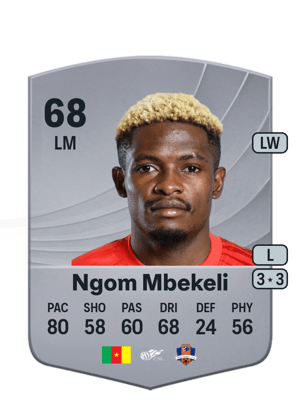 Jerome Ngom Mbekeli