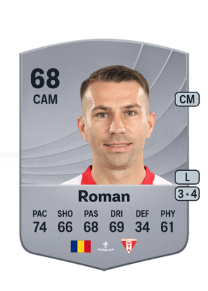 Alin Roman