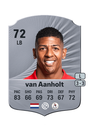 Patrick van Aanholt