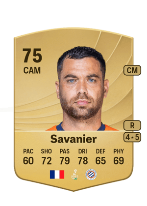 Téji Savanier