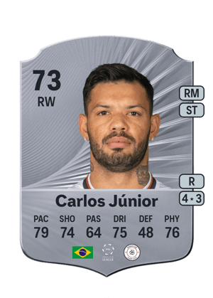 Carlos Alberto Carvalho Silva Jr.